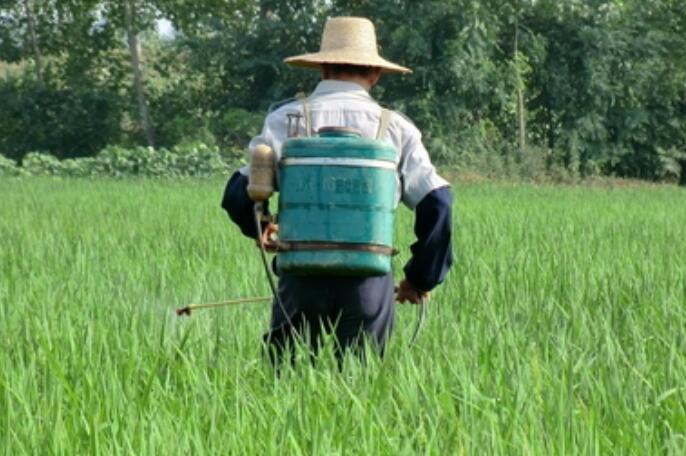 農(nóng)用無人機，飛防服務(wù)，植保無人機