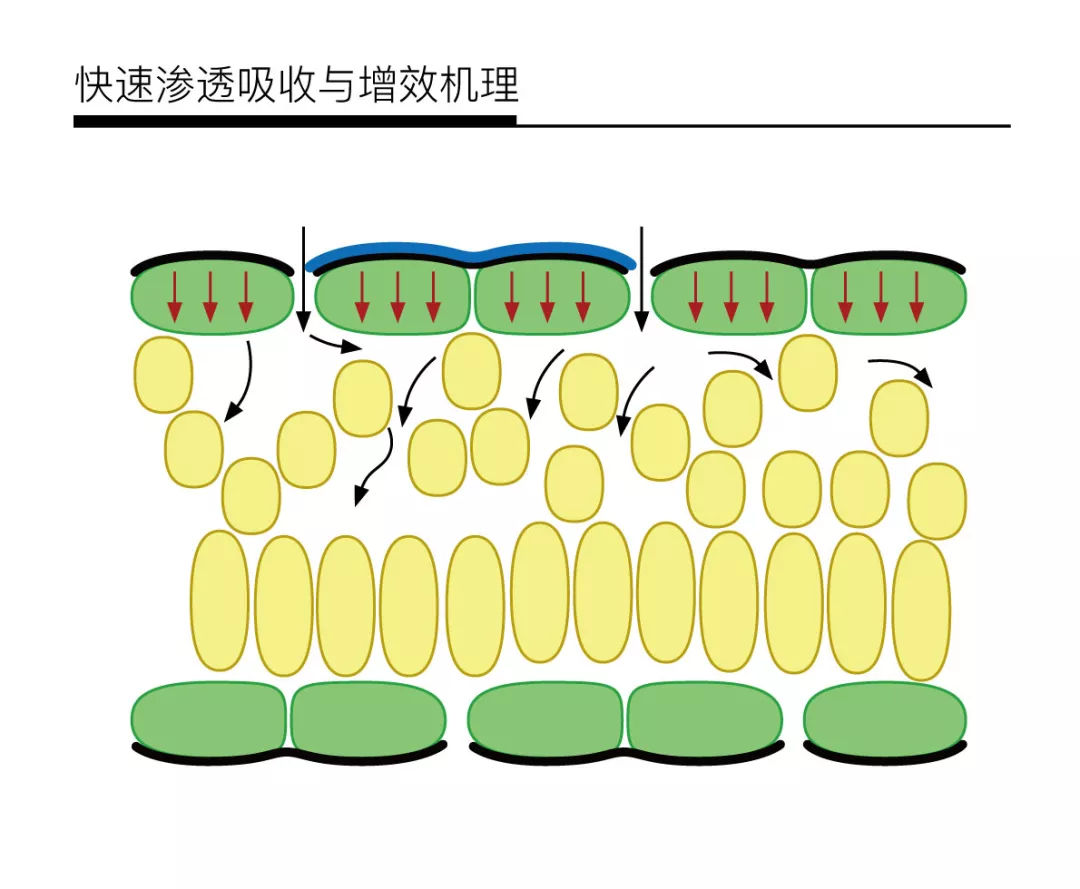 飛防助劑的具體作用