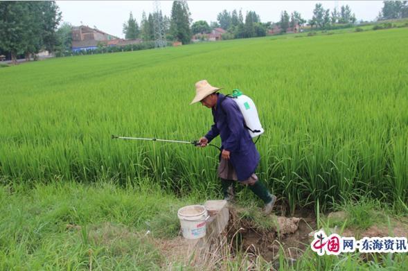 人工打藥和植保無(wú)人機(jī)作業(yè)，哪個(gè)好？