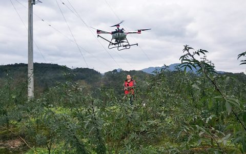 植保無人機助力花椒生產(chǎn)節(jié)本增效