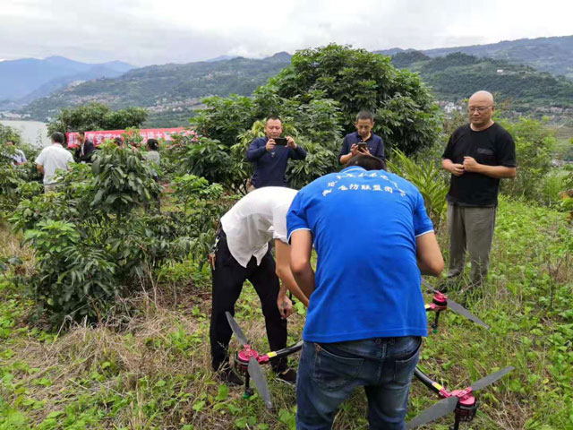 天鷹兄弟植保無人機(jī)其作業(yè)效率高、噴灑效果好深受農(nóng)戶認(rèn)可。