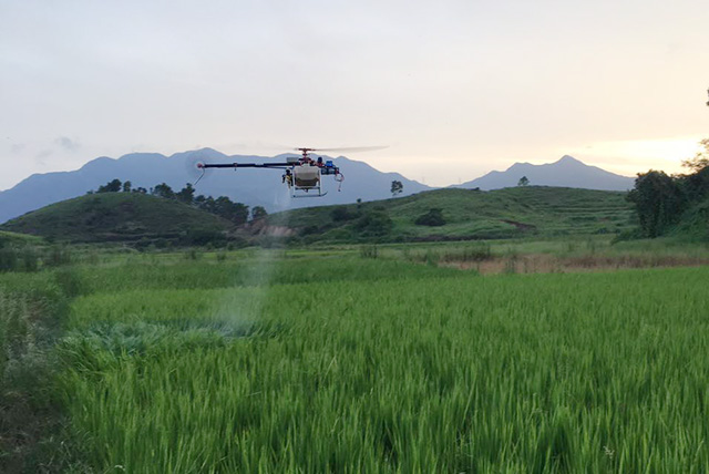 惠東縣水稻病蟲(chóng)害防治用上了植保無(wú)人機(jī) 