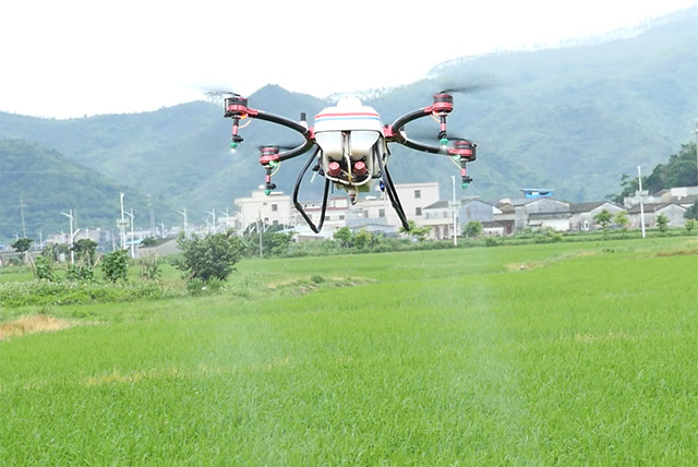 青蔥的稻田上，天鷹兄弟植保無人機(jī)展翅盤旋