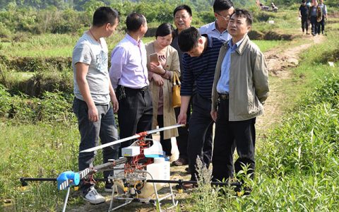 吉安縣利用植保無人機統(tǒng)防統(tǒng)治水稻病蟲害