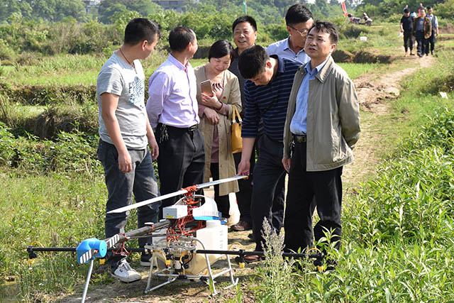 吉安縣利用植保無人機(jī)統(tǒng)防統(tǒng)治水稻病蟲害 