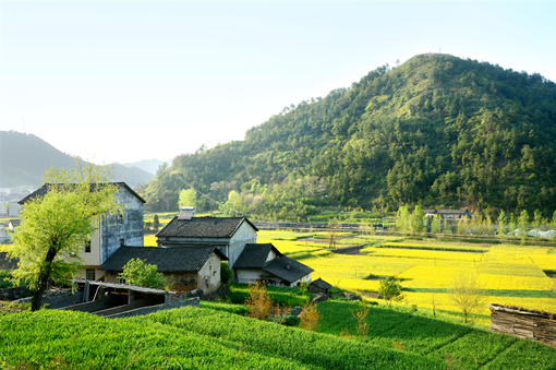 農(nóng)業(yè)植保無人機駕駛員真的月入10萬？