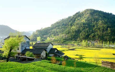 「植保無人機(jī)」農(nóng)業(yè)植保無人機(jī)駕駛員真的月入10萬？