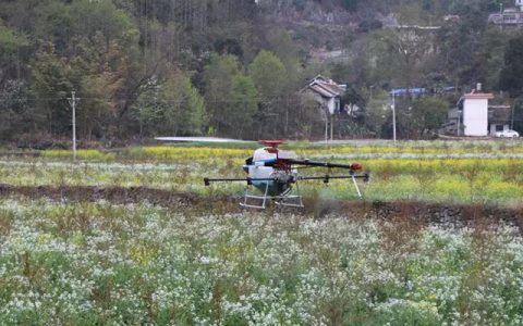 盤(pán)州市：植保無(wú)人機(jī)為軟籽石榴施肥施藥