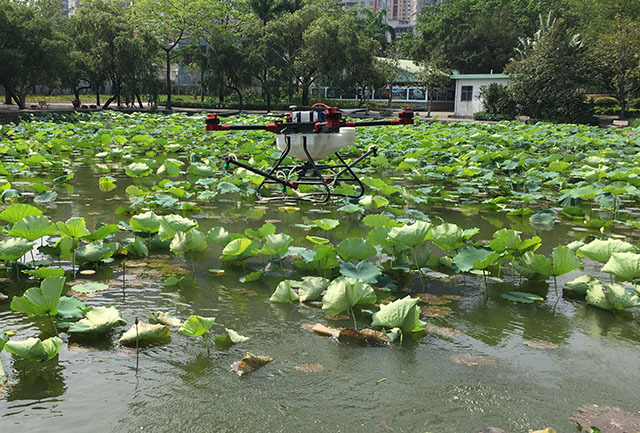 植保無人機防治荷花薊馬