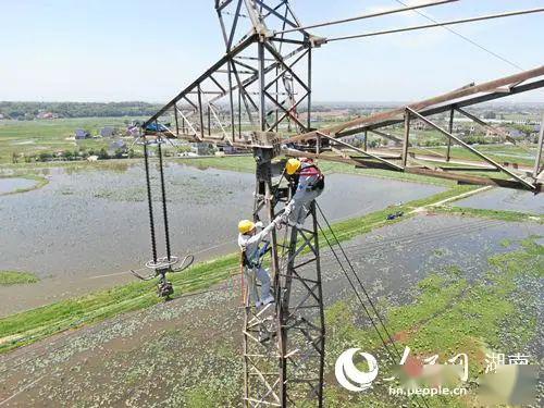 無人機(jī)安全-湖南電力處置無人機(jī)撞擊高壓線路隱患