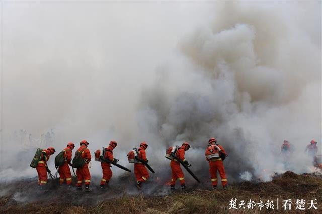 森林消防員緊急滅火