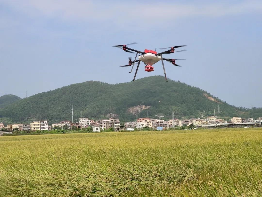 解鎖新技能！珠海羽人無人機廣東新會飛播稻底油菜