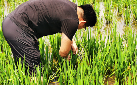 無錫植保無人機(jī)企業(yè)（無錫漢和無人機(jī)怎么樣）