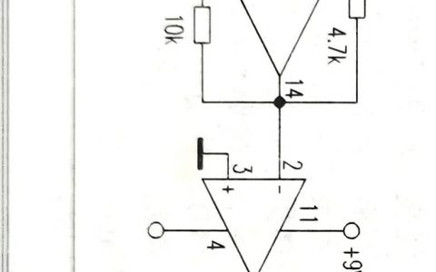 功放電路圖詳解(簡(jiǎn)單易制的實(shí)用數(shù)字功放電路)