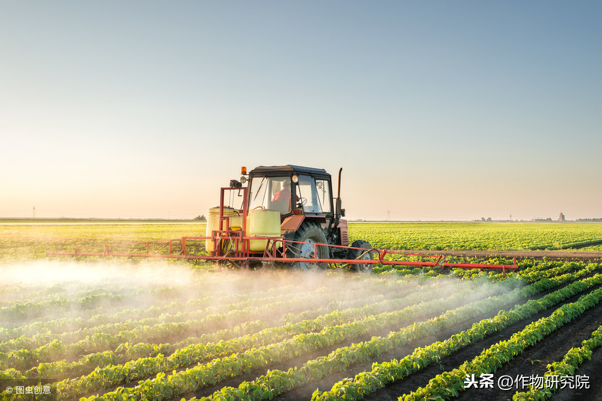 2019做植保飛防，搞明白這些才能有錢賺！