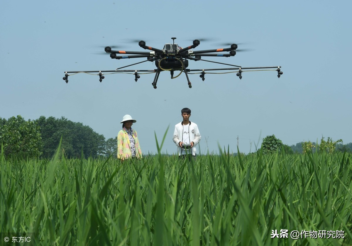 2019做植保飛防，搞明白這些才能有錢賺！