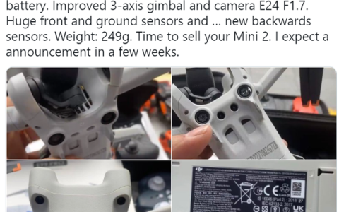 2022大疆DJI Mini 3無人機照片(最大抗風(fēng) 5 級,續(xù)航時間 31 分鐘)