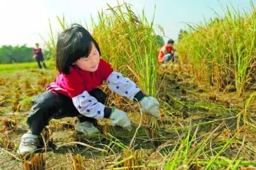 惠州市孩子暑假怎么安排?有這樣的夏令營一定精彩