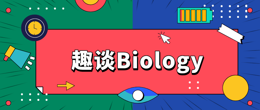 樂高、無人機(jī)……30+個(gè)趣味課程!再不帶你家娃來報(bào)名就晚了!