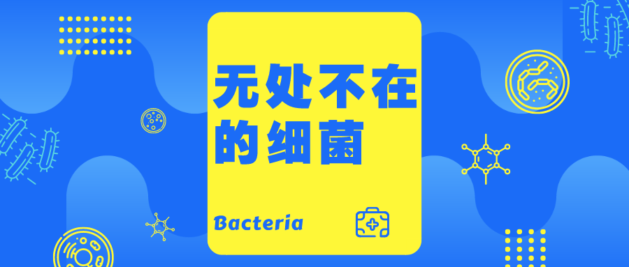 樂高、無人機(jī)……30+個(gè)趣味課程!再不帶你家娃來報(bào)名就晚了!